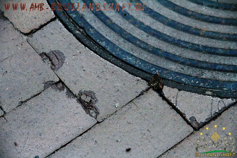 Брусчатка без ограничителей швов впритык друг к другу