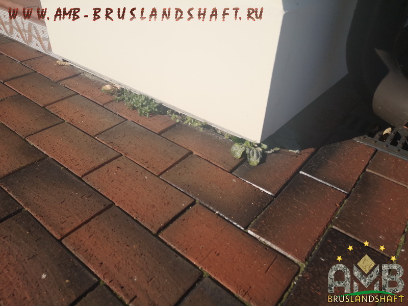 Вымывание песка, деформация брусчатки