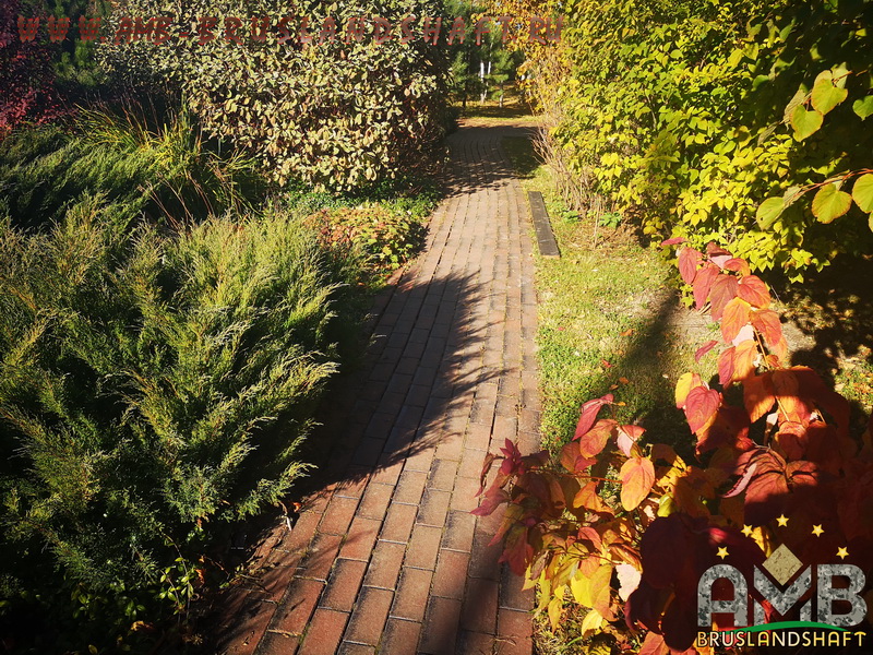 Вымывание песка, деформация брусчатки