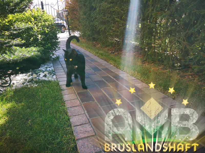 Правильная укладка клинкерной брусчатки