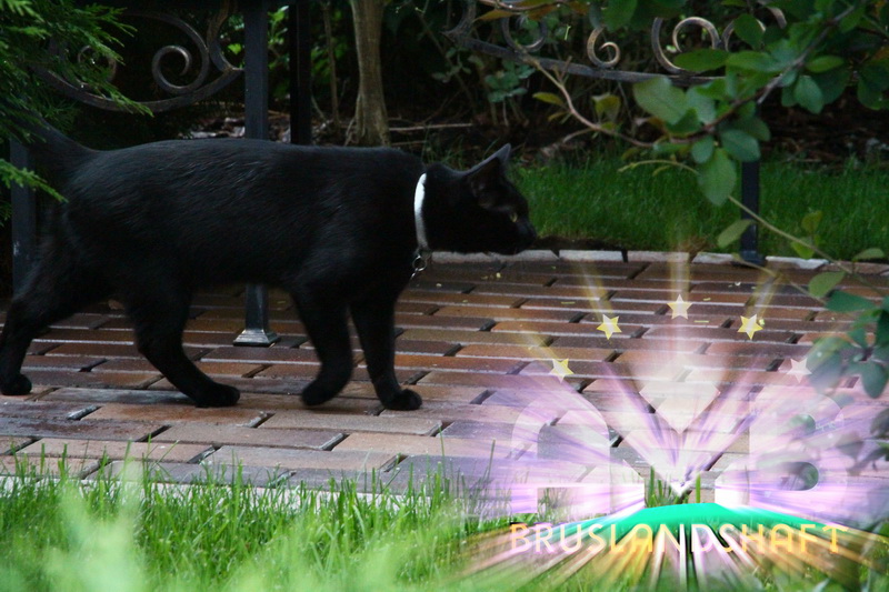 Правильная укладка клинкерной брусчатки