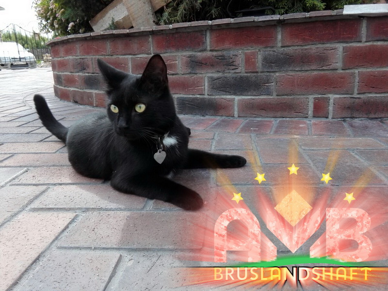 Правильная укладка клинкерной брусчатки