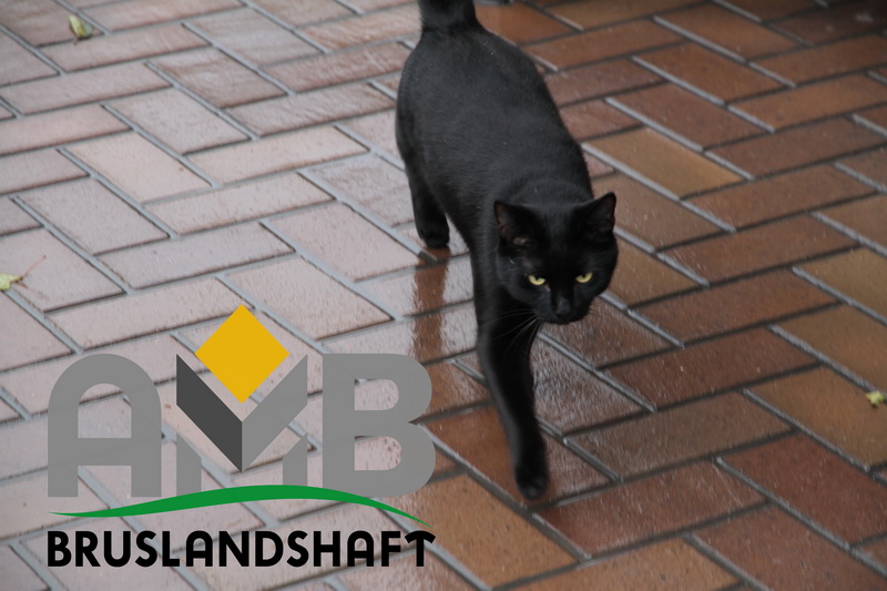 Правильная укладка клинкерной брусчатки