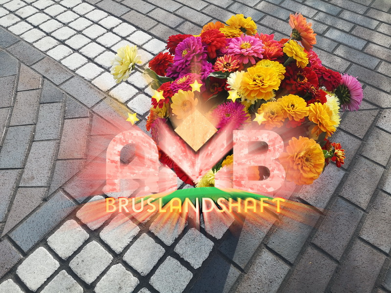 Правильная укладка клинкерной брусчатки