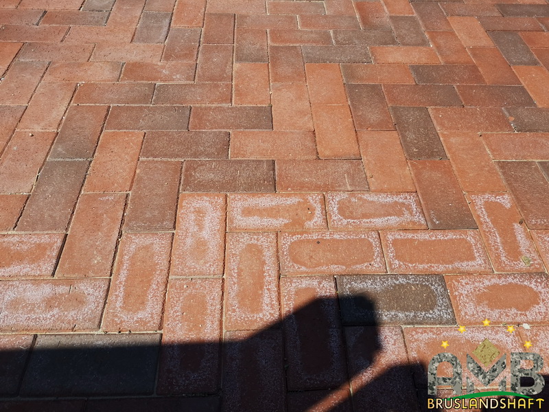 Пятна на тротуарной плитке