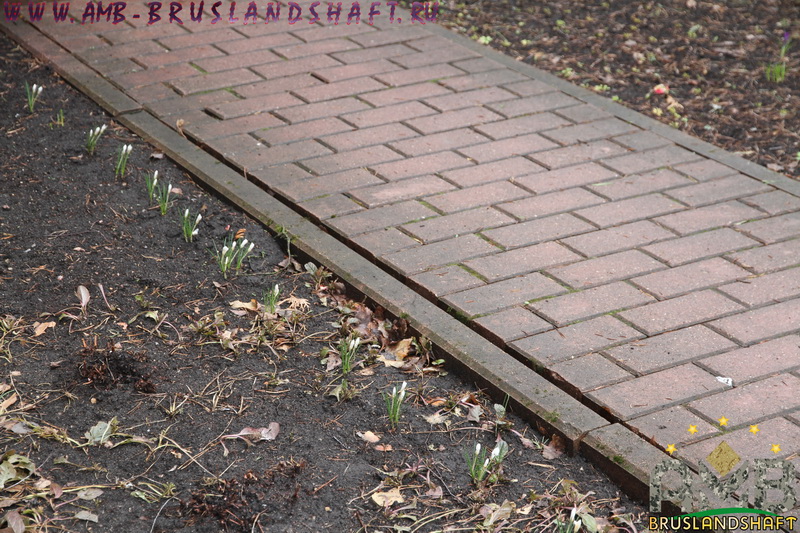 Установка бордюров