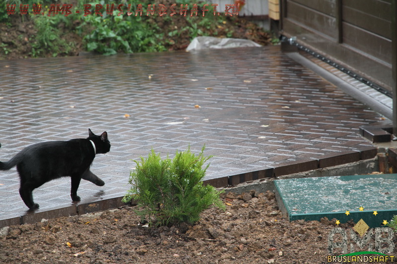 Правильная установка бордюров