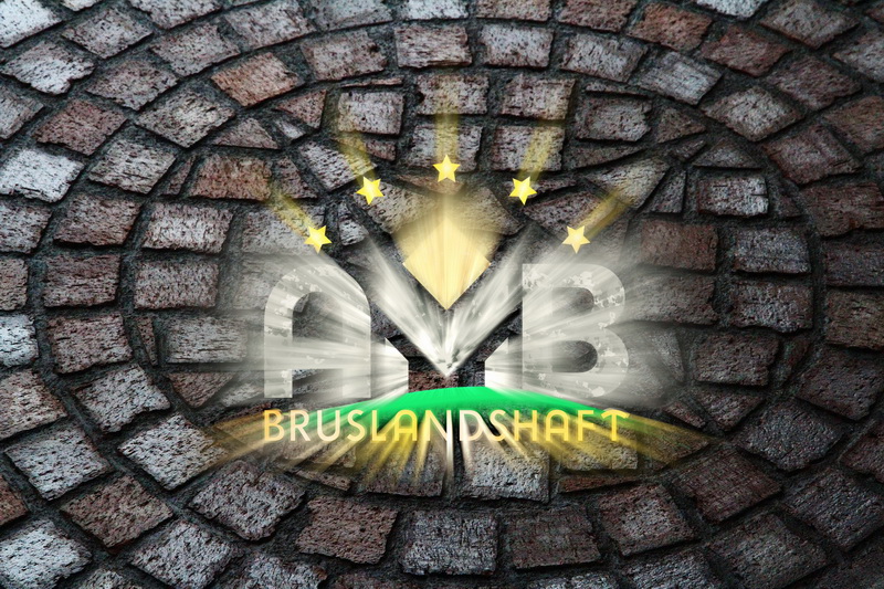 Узоры мозаичные Feldhsus vs AMB-bruslandshaft