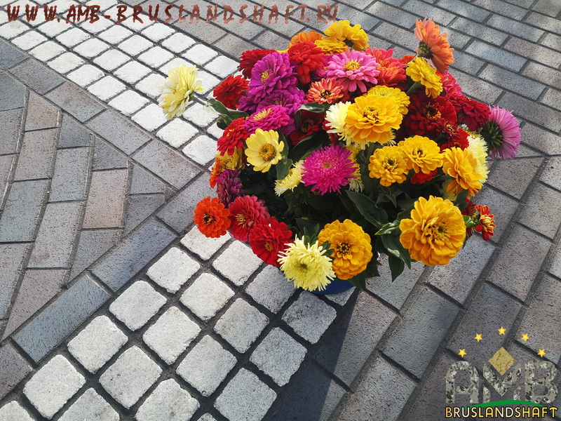 Гранитная брусчатка уложенная по технологии AMB-bruslandshaft